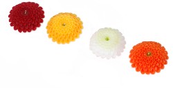 Poka� produkt