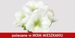 Poka� produkt
